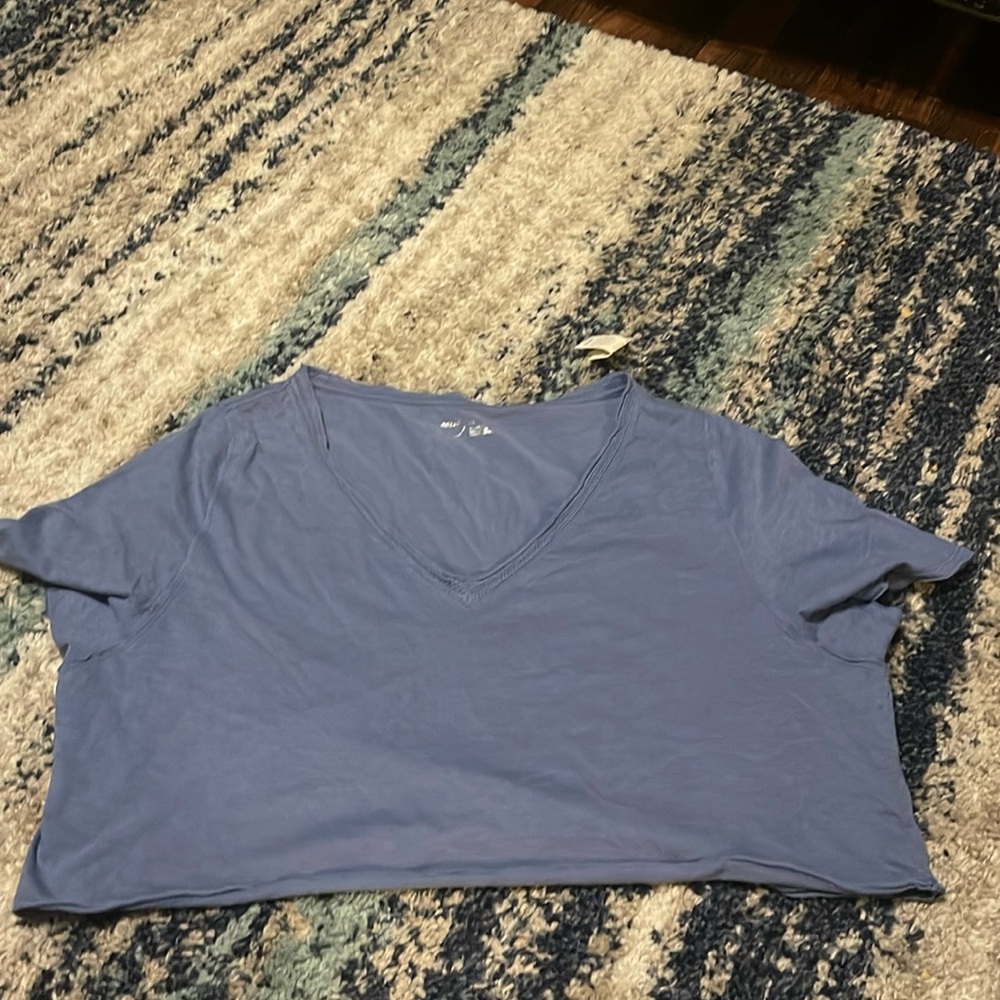 Aerie size large crop tshirt